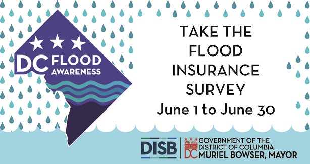 Flood Insurance Survey