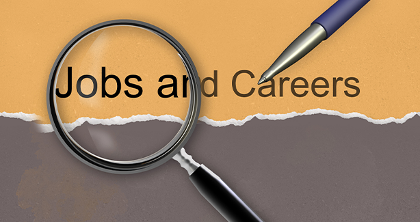 Careers at DISB