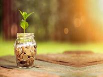 DC Opportunity Accounts DC Opportunity Accounts